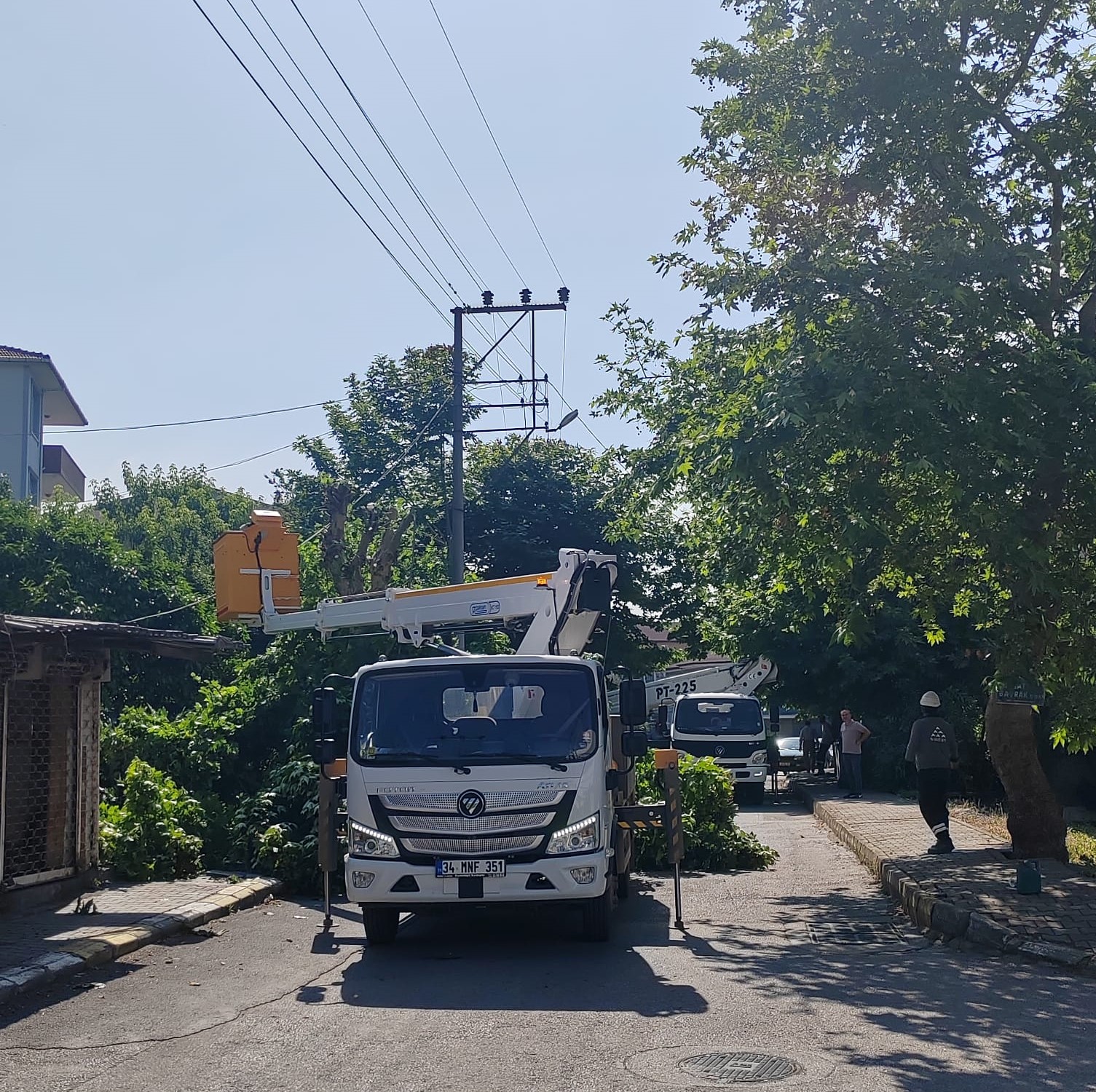 SEDAŞ, Kocaeli’de kesintisiz enerji için ağaç budama çalışmalarını sürdürüyor