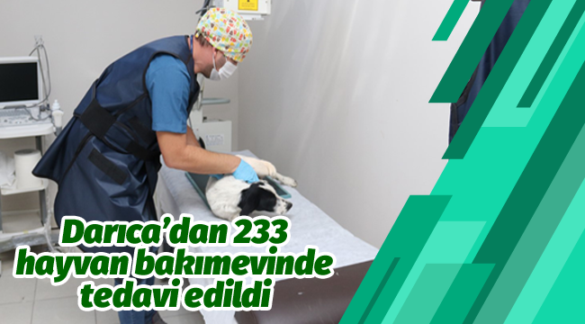 4 ayda bin 809 yaralı ve hasta sokak hayvanı tedavi edildi