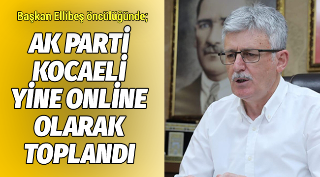 Ak Parti Kocaeli, yine online olarak toplandı