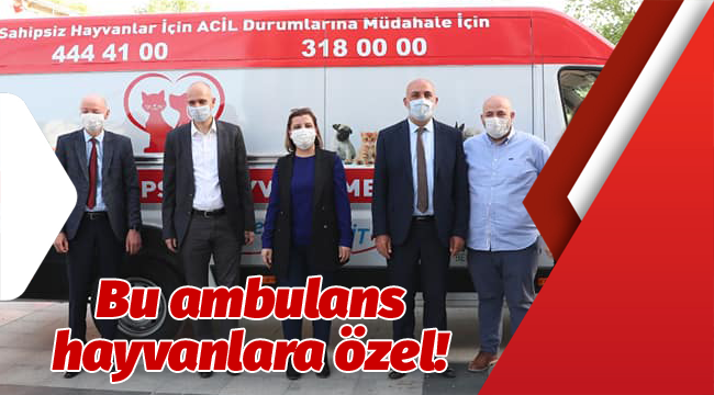 Bu ambulans hayvanlara özel!