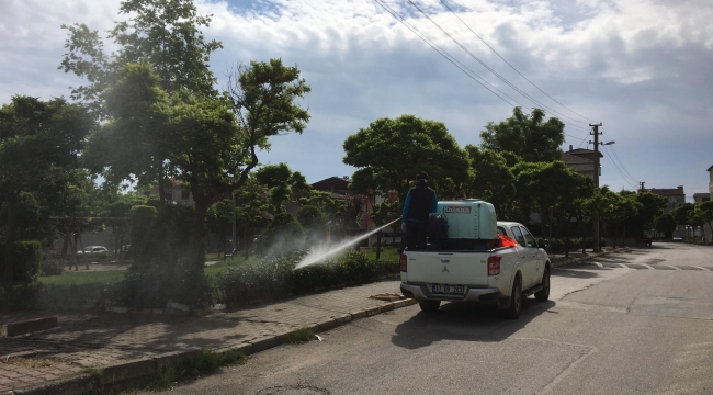 Darıca'da ilaçlama çalışmaları başladı