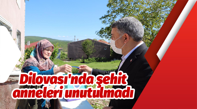 Dilovası'nda şehit anneleri unutulmadı