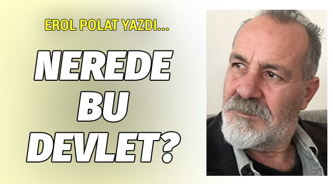 Erol Polat yazdı... Nerede bu devlet?