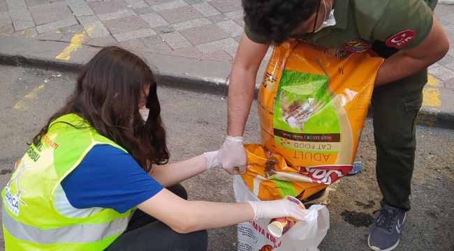 THK Darıca sokak hayvanlarını unutmadı