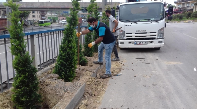 Dilovası Eynerce Kavşağı yeşillendiriliyor