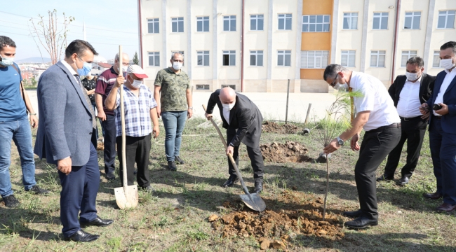 Darıca'da okul bahçelerine fidan dikiliyor