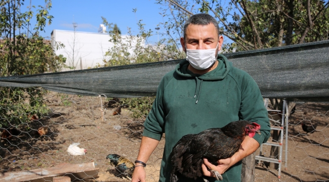 Kocaeli çiftçisine 20 bin tavuk desteği