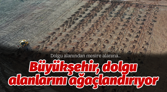 Büyükşehir, dolgu alanlarını ağaçlandırıyor