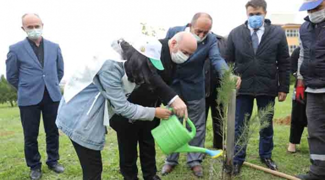 Darıca'da fidanlar toprakla buluştu