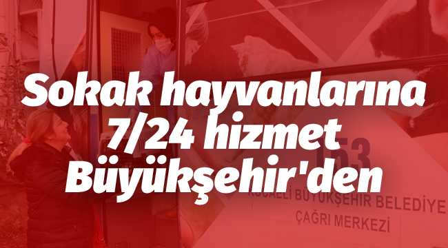 Sokak hayvanlarına 7/24 hizmet Büyükşehir'den