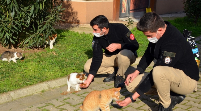 Doğa ve Hayvan Koruma polisi uyardı;