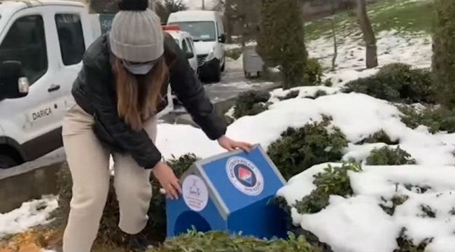 Darıca'da sokak hayvanları unutulmadı