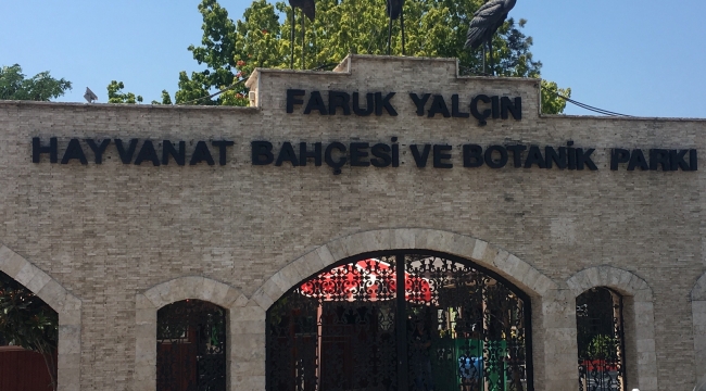 Faruk Yalçın Hayvanat Bahçesi, üyelikleri uzattı - Darıca Gazetesi
