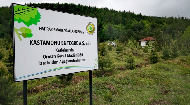 Kastamonu Entegre'den, Dünya Ormancılık Günü mesajı