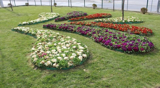 Gebze'de parklar çiçek açtı