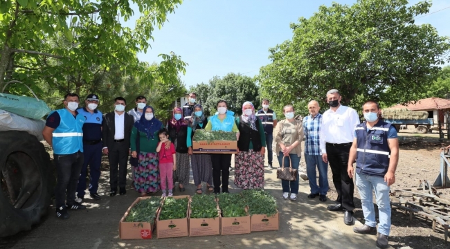 Hürriyet'in fide dağıtımı Kandıra ve Körfez'de devam etti
