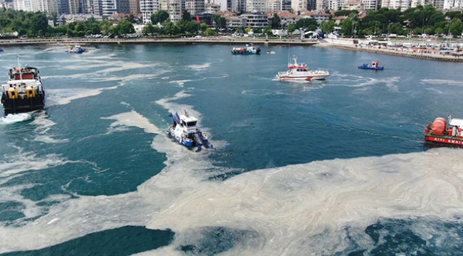 Marmara Denizi'nden 2684,5 metreküp müsilaj toplandı!