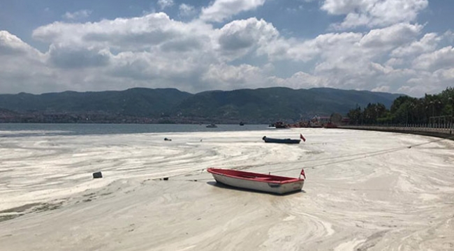 Meteoroloji Uzmanı Özdemir: Hava sıcaklığı müsilajı da artıracak