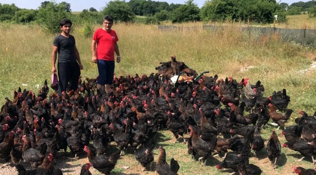 Büyükşehir'in yüzde 50 hibeli tavuk desteği çiftçilerin yüzünü güldürüyor