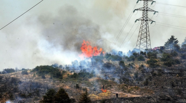 Orman yangınına sebebiyet veren 1 kişi yakalandı