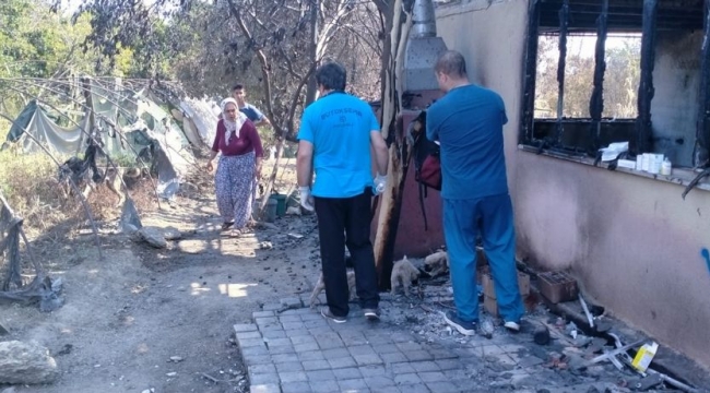 Yangından etkilenen hayvanlara Büyükşehir şefkati