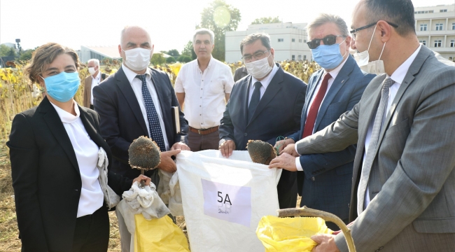 GTÜ'de sürdürülebilir tarım uygulamalarında ilk hasat yapıldı