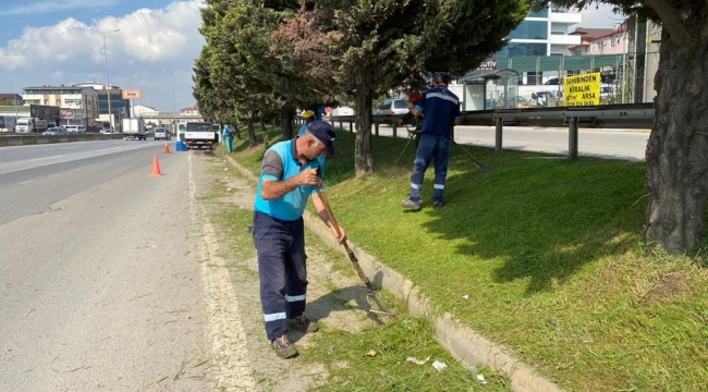 Kavşak ile yollarda ot biçimi ve form budama yapılıyor