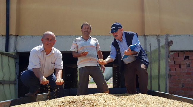 Büyükşehir'den gübre ve tohum desteği