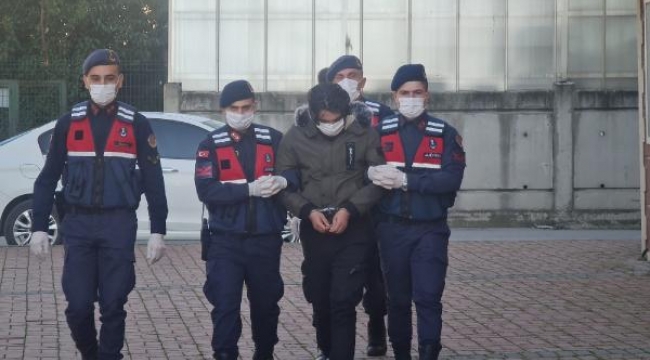Kocaeli'de PKKYPG terör örgütü üyesi yakalandı
