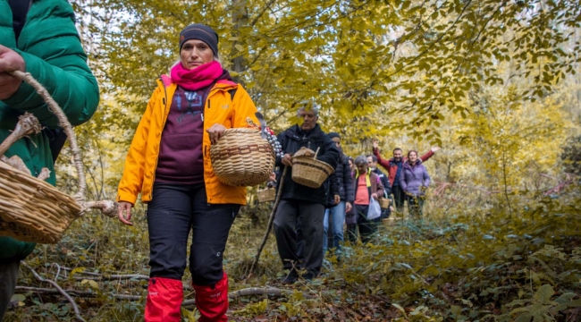 Kocaeli'nin ilk mantar avı Ormanya'da yapıldı