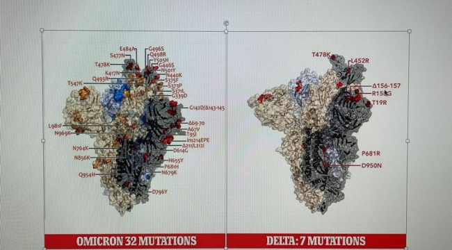 Prof. Dr. Savlı ; Omikron Varyantı'nı biz de inceliyoruz