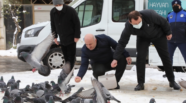 Başkan Bıyık sokak hayvanlarını unutmadı