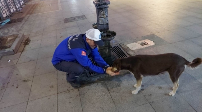 Elleriyle köpeğe su içirdi, gönülleri fethetti