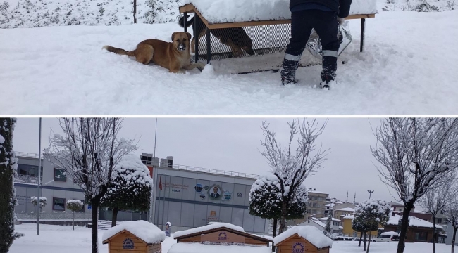 Gebze'de kar mesaisi devam ediyor