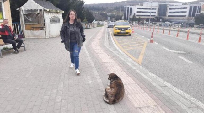 Kampüste köpek saldırısına uğradı