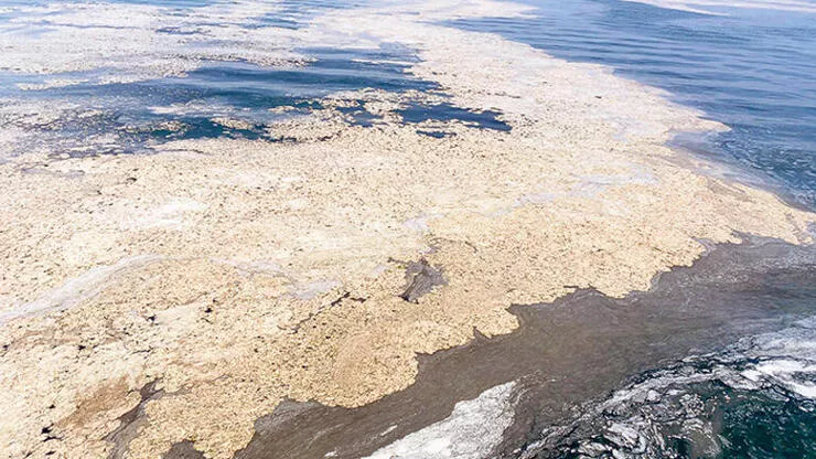 ''Müsilaj, yakıt ya da gübre olarak kullanılamaz''