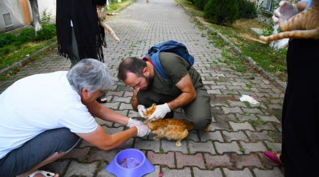 Çayırova'da sokak hayvanlarına aşı