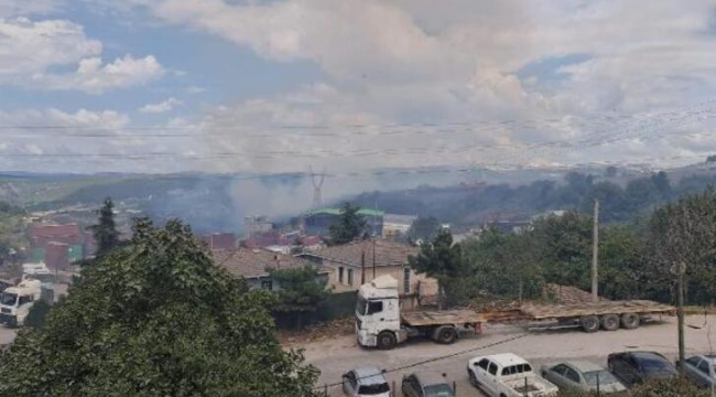 Gebze'de orman yangını çıktı