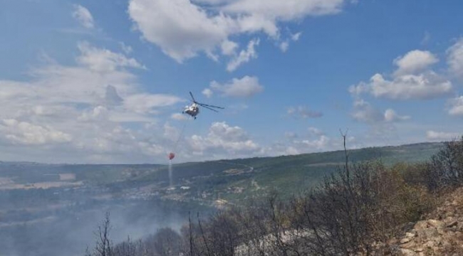 Orman yangını 3 saatte söndürüldü