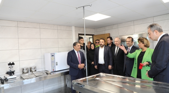 Dilovası Geçici Hayvan Bakımevi ve Rehabilitasyon Merkezi açıldı