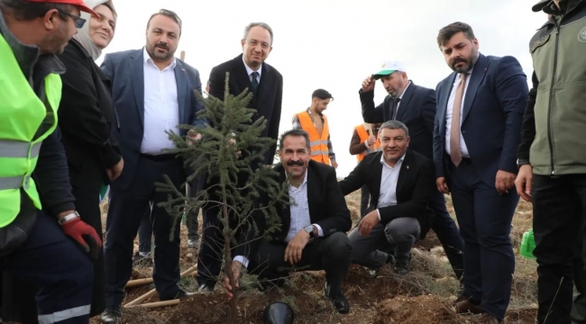 Dilovası’nda 2 bin 500 fidan toprakla buluştu