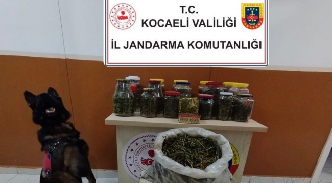 Kocaeli Jandarma'dan uyuşturucu operasyonu