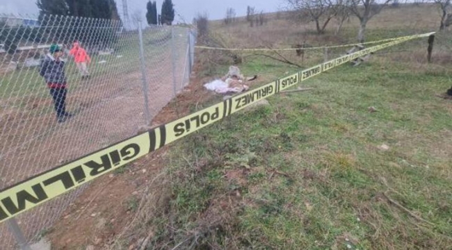 Mezarlıkta çarşafa sarılı köpek ölüsü bulundu