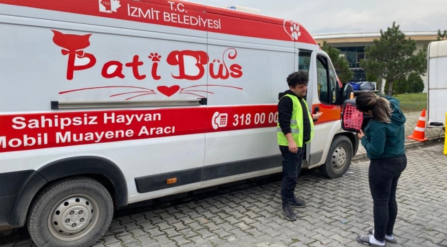 İzmit Belediyesi, deprem bölgesinde can dostlarımızı yalnız bırakmıyor