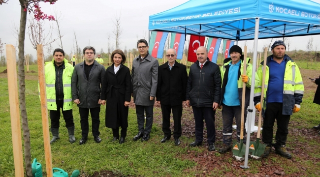 Azerbaycan ve Türkiye Kardeşliği Ormanı'na Haydar Aliyev'in anısına 100 fidan