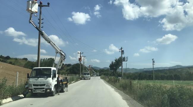 SEDAŞ, leyleklerin güvenli göç yolculuğu için önlemlerini aldı