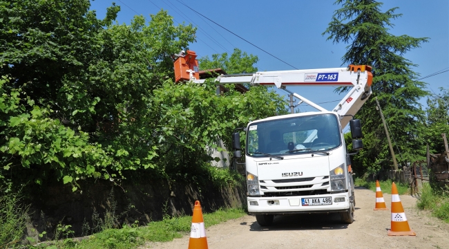 SEDAŞ, kesintisiz enerji için iletkenlere temas eden ağaçları buduyor