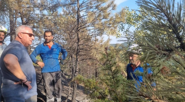 SEDAŞ, Bolu'da orman yangınına karşı seferber oldu