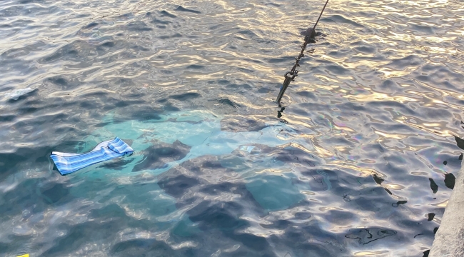 Darıca'da denize düşen araçtaki sürücüyü balık tutan vatandaşlar kurtardı