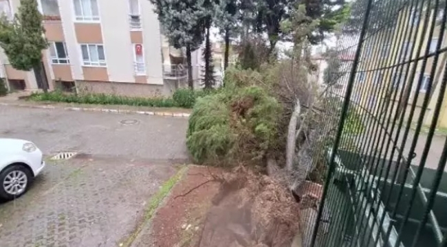 Kocaeli'deki olumsuz hava koşulları nedeniyle 7 kişi yaralandı
